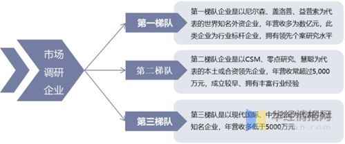 中國市場調(diào)研行業(yè)發(fā)展現(xiàn)狀及趨勢分析