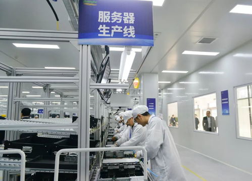 黑馬河南 這一年，不平凡的網絡技術服務征程